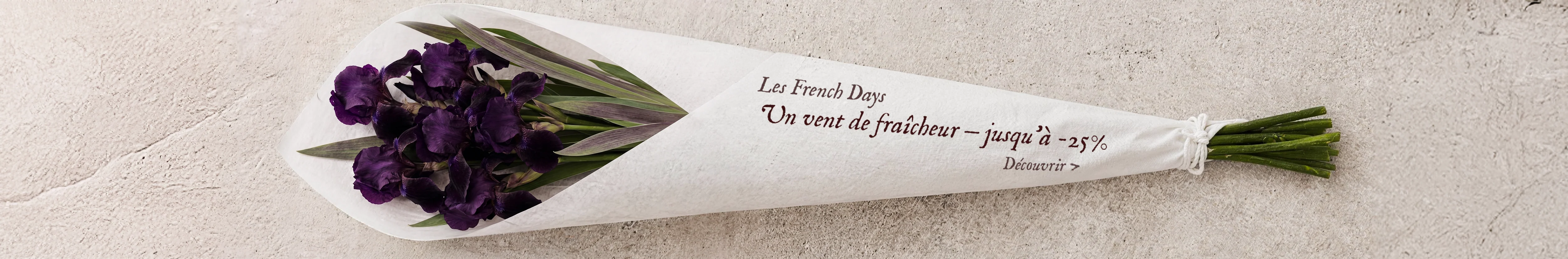 L'Élégance Moderne à Votre Portée